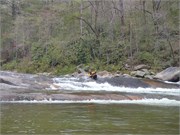 Wilsons Creek 22